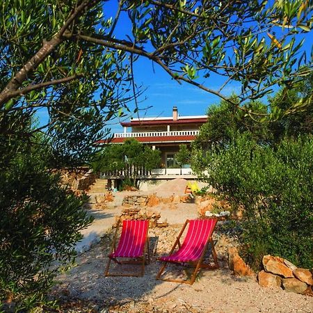 Luxury Villa Vela Rina Дрвеник-Мали Экстерьер фото