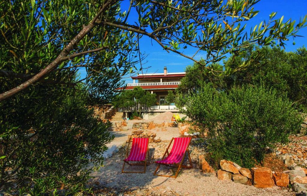 Luxury Villa Vela Rina Дрвеник-Мали Экстерьер фото